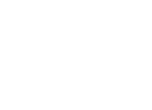 Company_ Intelligence