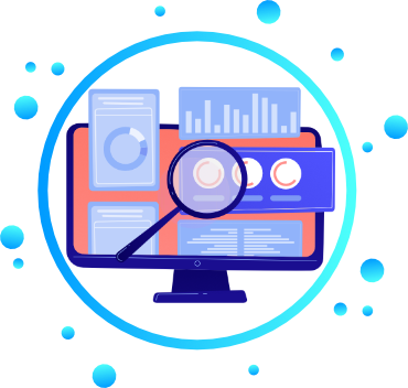 Data Audit